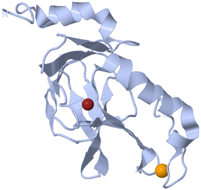 Image Biological Unit 1