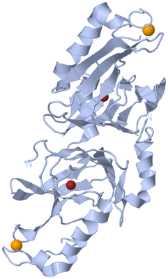 Image Biological Unit 2