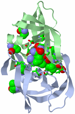 Image Asym./Biol. Unit - sites