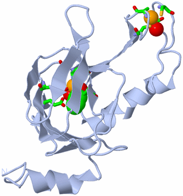 Image Biol. Unit 1 - sites