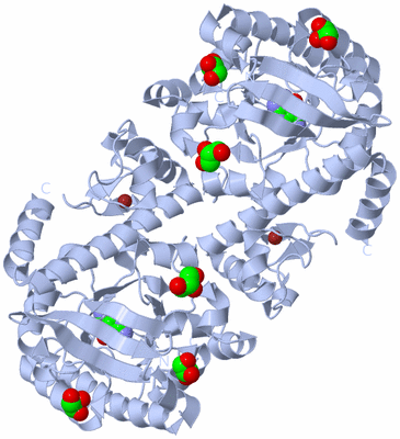 Image Biological Unit 1