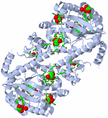 Image Biol. Unit 1 - sites