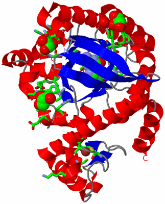 Image Asym. Unit - sites