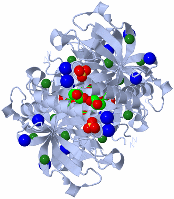 Image Biological Unit 2