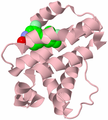 Image Biological Unit 3