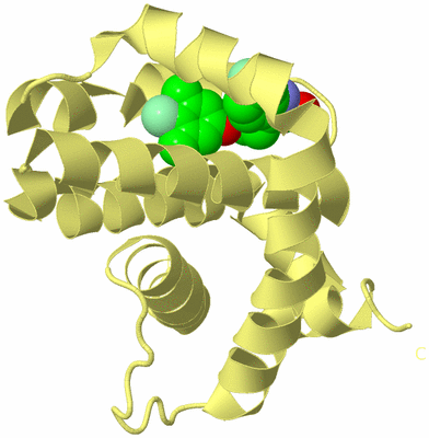 Image Biological Unit 4