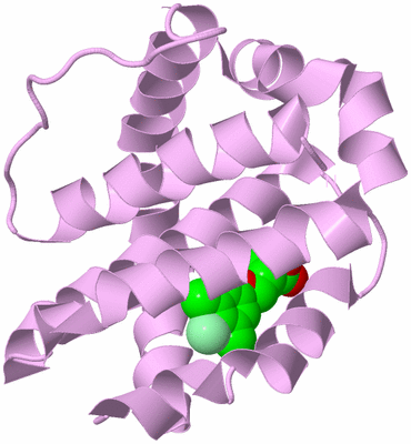 Image Biological Unit 5