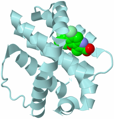 Image Biological Unit 6