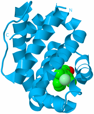 Image Biological Unit 10