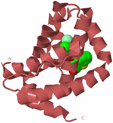 Image Biological Unit 11