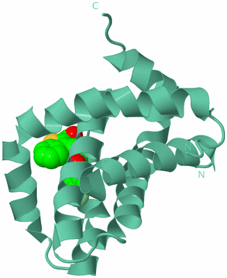 Image Biological Unit 12