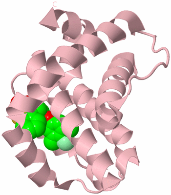 Image Biological Unit 3