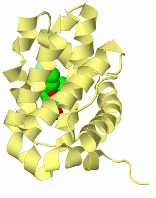 Image Biological Unit 4