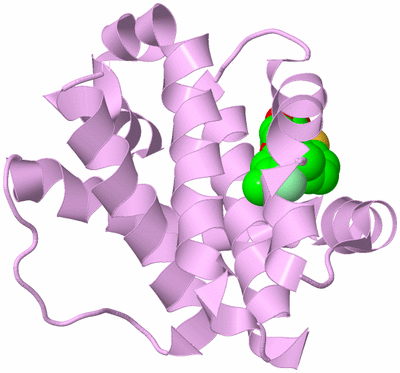 Image Biological Unit 5