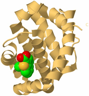 Image Biological Unit 7