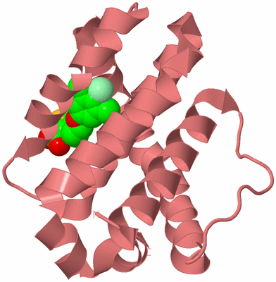 Image Biological Unit 8