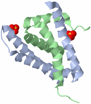 Image Biological Unit 3