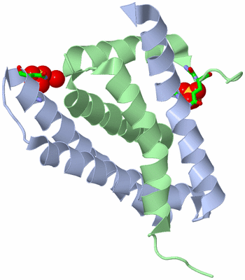 Image Asym. Unit - sites