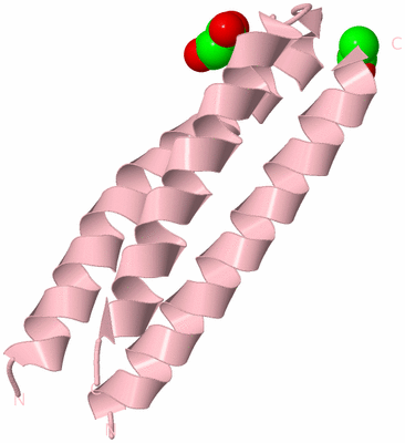 Image Biological Unit 3