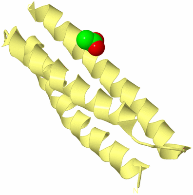 Image Biological Unit 4