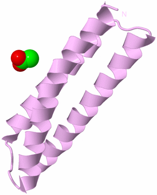 Image Biological Unit 5