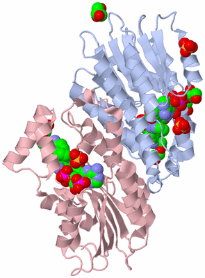 Image Biological Unit 1