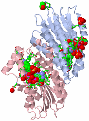 Image Biol. Unit 1 - sites