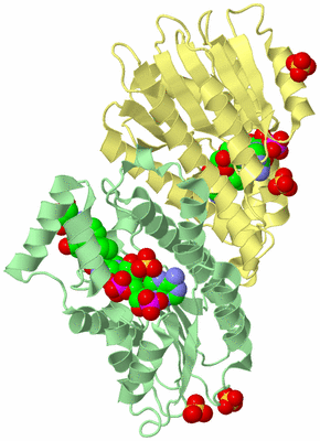 Image Biological Unit 2