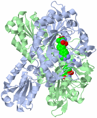 Image Asym./Biol. Unit