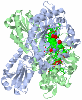 Image Asym./Biol. Unit - sites