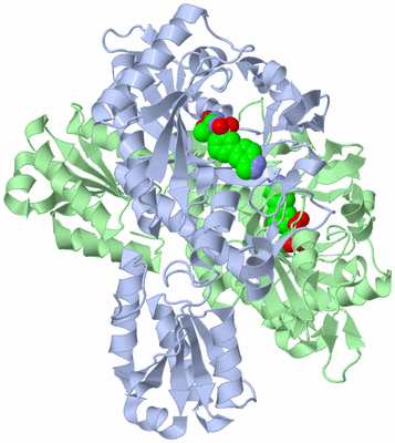 Image Asym./Biol. Unit