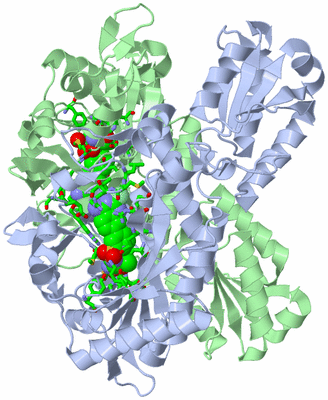 Image Asym./Biol. Unit - sites