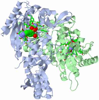 Image Asym./Biol. Unit - sites