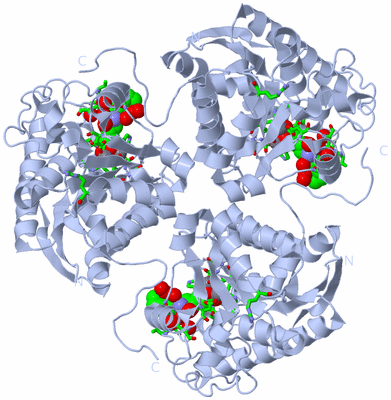 Image Biol. Unit 1 - sites