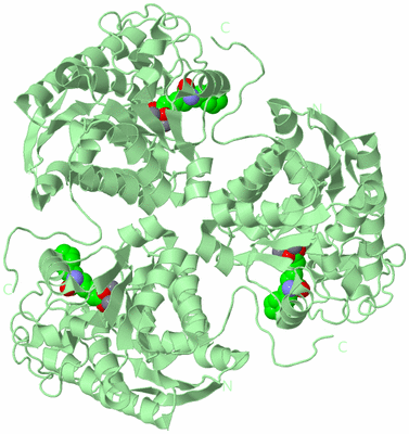 Image Biological Unit 2