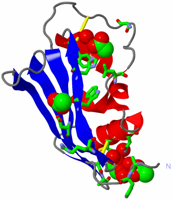 Image Asym. Unit - sites