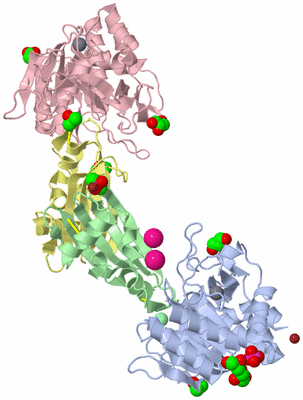 Image Asym./Biol. Unit