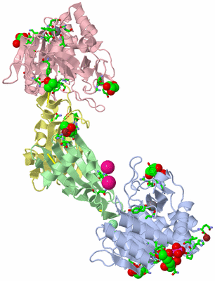 Image Asym./Biol. Unit - sites