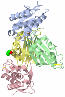 Image Biological Unit 1