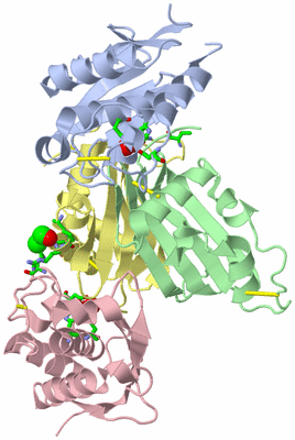 Image Biol. Unit 1 - sites