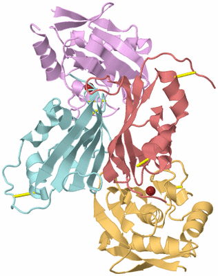 Image Biological Unit 2