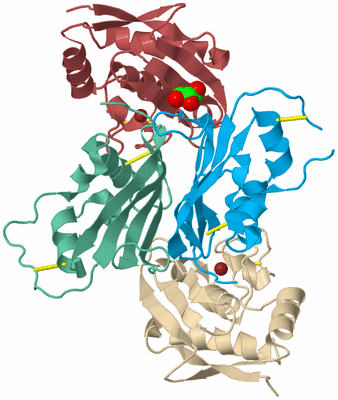 Image Biological Unit 3