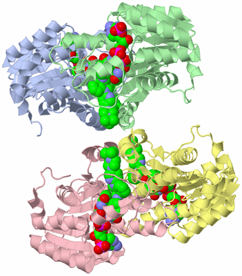 Image Biological Unit 1