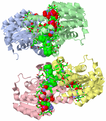 Image Biol. Unit 1 - sites