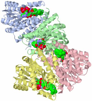 Image Biological Unit 2