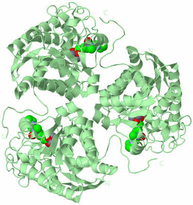 Image Biological Unit 2