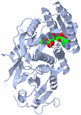 Image Biological Unit 1