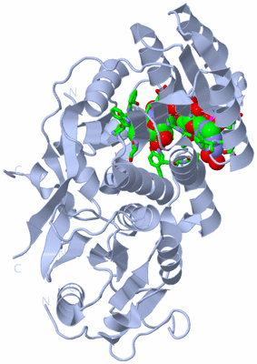 Image Biol. Unit 1 - sites