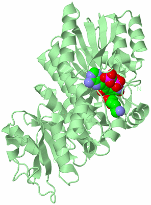 Image Biological Unit 2