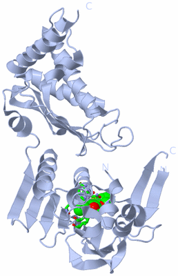 Image Biol. Unit 1 - sites